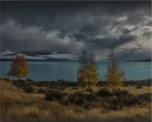 Lake Pukaki, Canterbury plains, south island, New Zealand