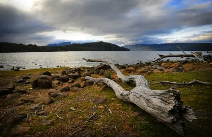 Framed Print : Lake St. Clair with views to the distant mountain range, Central Tasmania