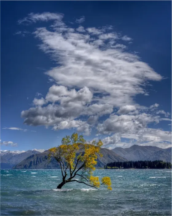Framed Print : Lake Wanaka, in the Autumn, showing the vibrant golds and yellows of the seasonal colours, south island, New Zealand Framed Print : Lake Wanaka, in the Autumn, showing the vibrant golds and yellows of the seasonal colours, south island, New Zealand