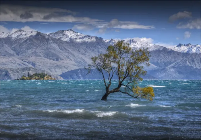 Framed Print : Lake Wanaka, in the Autumn, showing the vibrant golds and yellows of the seasonal colours, south island, New Zealand