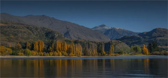 Framed Print : Lake Wanaka, in the Autumn, showing the vibrant golds and yellows of the seasonal colours, south island, New Zealand