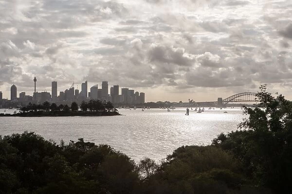 Landscape of Sydney Harbour