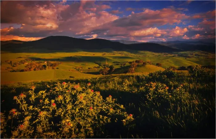 Framed Print : Late afternoon light sweeps across the rolling countryside near Tooma, northern Victoria Framed Print : Late afternoon light sweeps across the rolling countryside near Tooma, northern Victoria