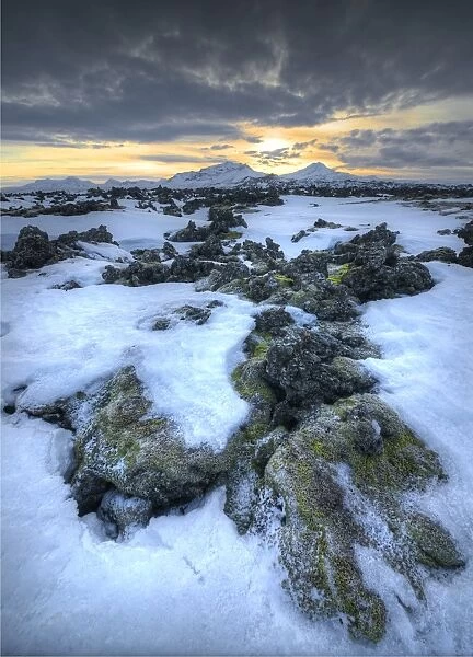 Lava field in winter at Grundarfjorour, Iceland