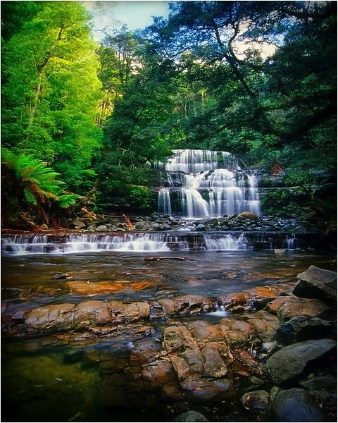 Liffey Falls, a beautiful and scenic area in northern Tasmania, which is protected rainforest and part of the world heritage forests