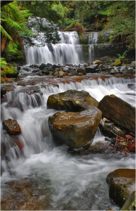 Framed Print : Liffey Falls, a beautiful and scenic area in northern Tasmania, which is protected rainforest and part of the world heritage forests