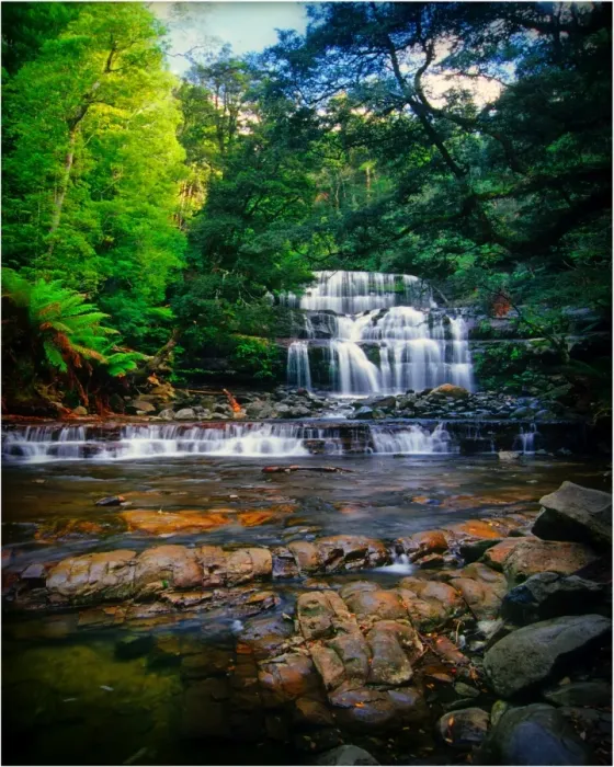 Framed Print : Liffey Falls, a beautiful and scenic area in northern Tasmania, which is protected rainforest and part of the world heritage forests Framed Print : Liffey Falls, a beautiful and scenic area in northern Tasmania, which is protected rainforest and part of the world heritage forests