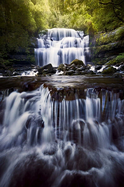 Liffey Falls in the lush Tasmanian wilderness, Tasmania, Australia