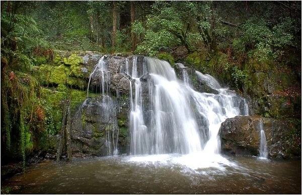 Lilydale falls, northern Tasmania