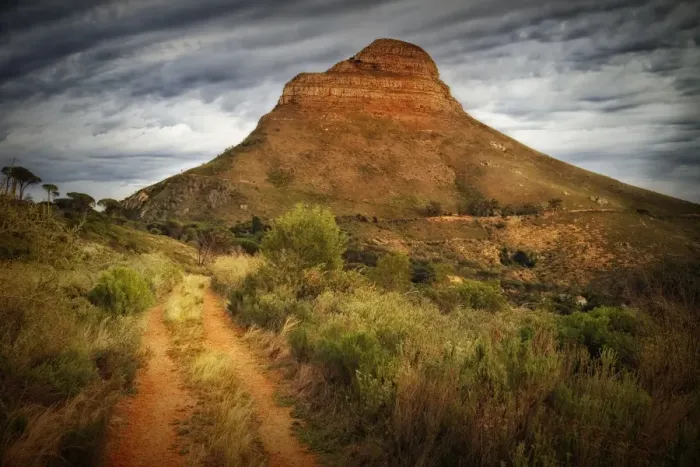 Framed Print : Lions Head