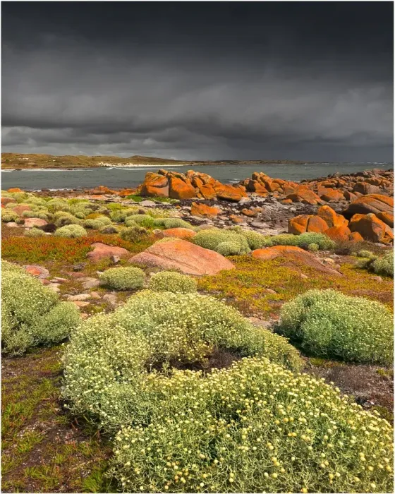 Framed Print : Little Porkies beach, King Island, Bass Strait, Tasmania Framed Print : Little Porkies beach, King Island, Bass Strait, Tasmania