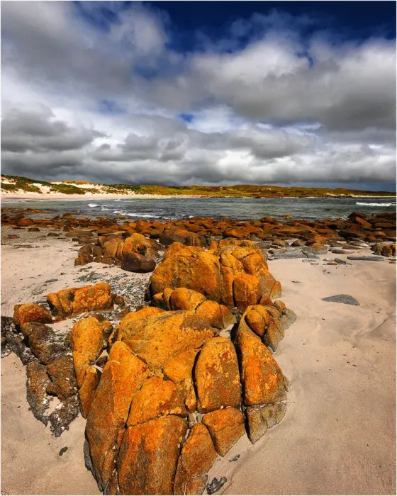 Framed Print : Little Porkies beach, King Island, Bass Strait, Tasmania Framed Print : Little Porkies beach, King Island, Bass Strait, Tasmania