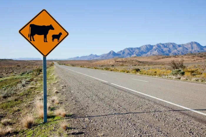 Framed Print : Livestock warning sign Framed Print : Livestock warning sign