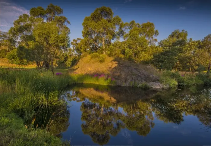 Framed Print : Livingstone Creek reserve at Omeo, in the Alpine mountainous region of north east Victoria, Australia