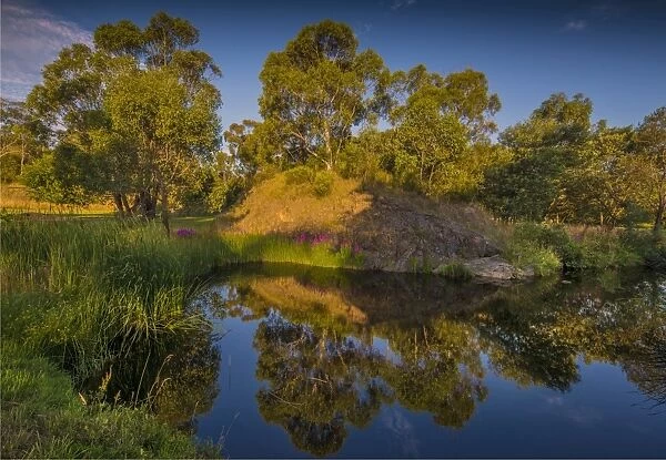 Livingstone Creek reserve at Omeo, in the Alpine mountainous region of north east Victoria, Australia
