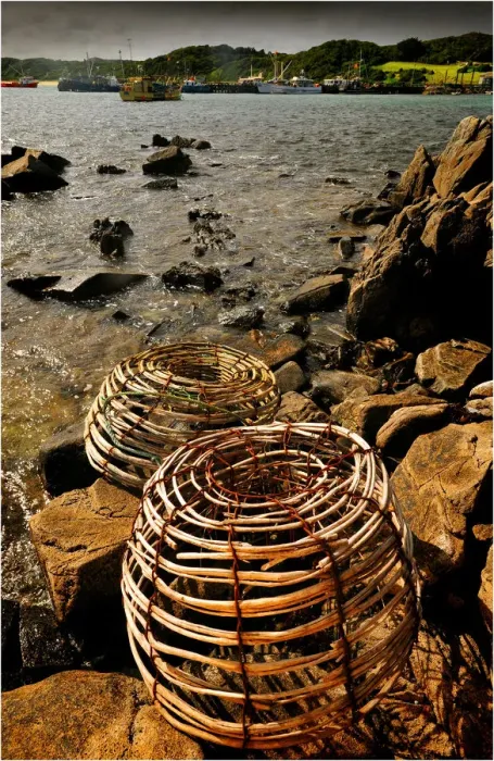Framed Print : Lobster pots and Currie Harbour view, King Island, Bass Strait, Tasmania