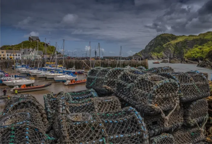 Framed Print : Lobster pots at Ilfracombe Framed Print : Lobster pots at Ilfracombe