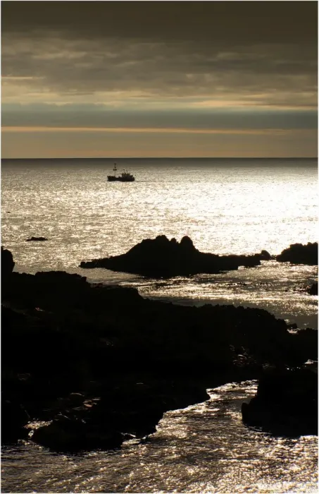 Framed Print : A lobster trawler near dusk on the Tarkine coastline of Tasmania Framed Print : A lobster trawler near dusk on the Tarkine coastline of Tasmania