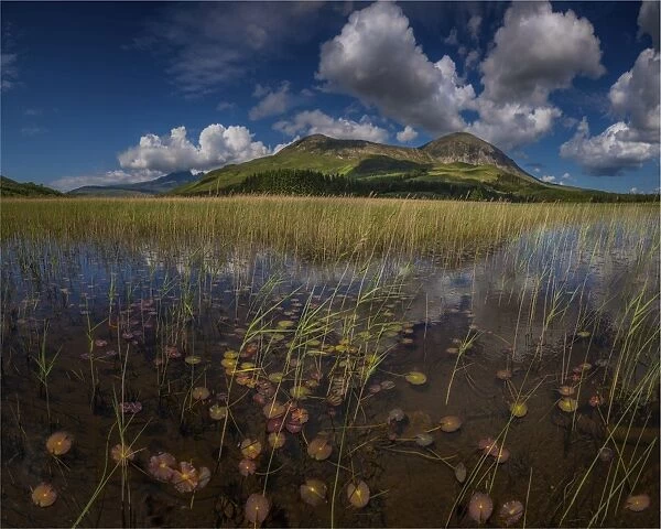 Loch Cill Chriosd