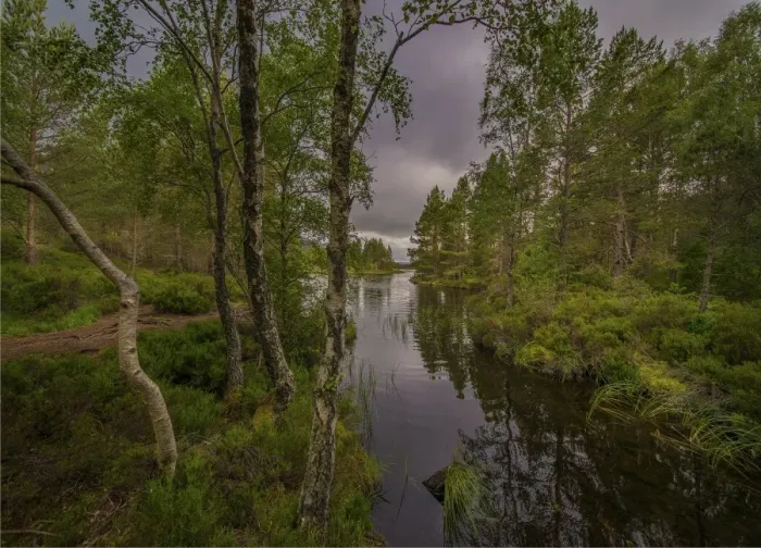 Framed Print : Loch Eilein, Scotland, United Kingdom