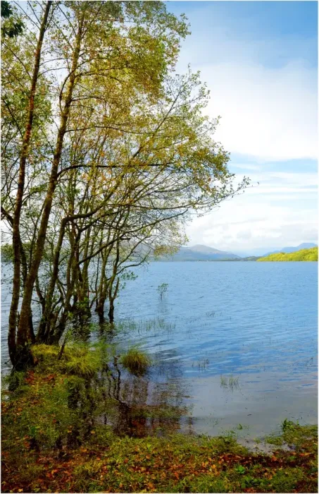 Framed Print : Loch Lomond, The Trossachs, Highlands of Scotland Framed Print : Loch Lomond, The Trossachs, Highlands of Scotland