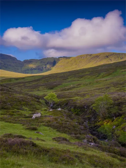 Framed Print : Loch Tay district, Eastern Highlands, Scotland Framed Print : Loch Tay district, Eastern Highlands, Scotland