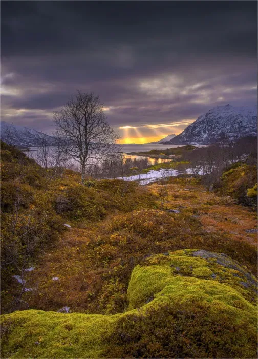 Framed Print : Lofoten Peninsular, winter wonderland, Arctic circle, Norway