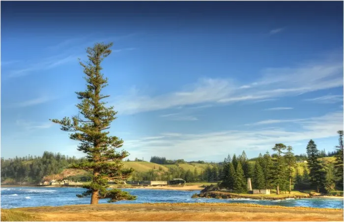 Framed Print : The Lone pine at Point Hunter, Emily Bay, Kingston, Norfolk Island Framed Print : The Lone pine at Point Hunter, Emily Bay, Kingston, Norfolk Island