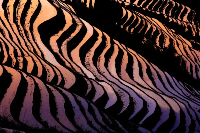 Framed Print : Long ji terrace Framed Print : Long ji terrace