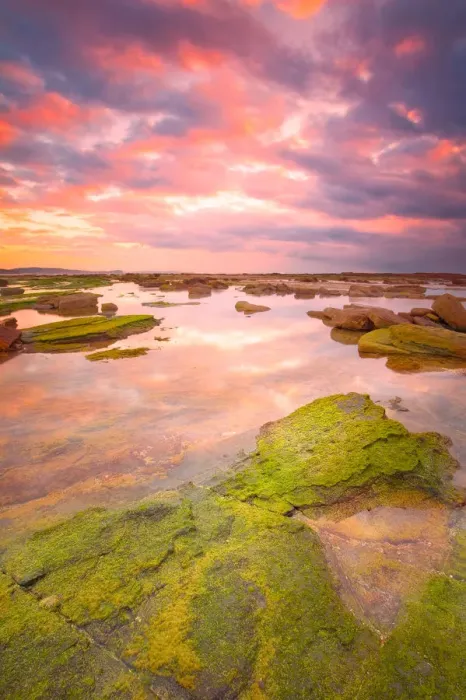 Framed Print : Long reef sunrise Framed Print : Long reef sunrise