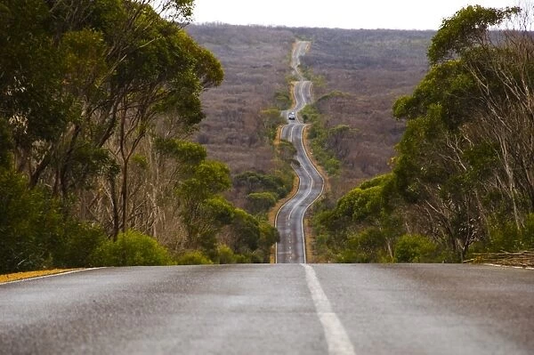Long Winding Road on Kangaroo Island
