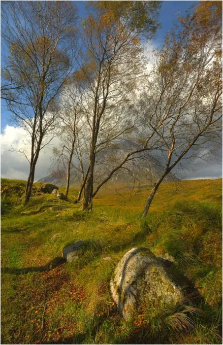 Framed Print : Looking at Buachaille Etive Mor through a row of trees, highlands of Scotland Framed Print : Looking at Buachaille Etive Mor through a row of trees, highlands of Scotland