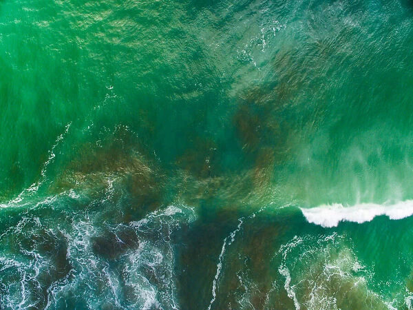 Top looking down at sea waves splashing at Muriwai Beach, Auckland