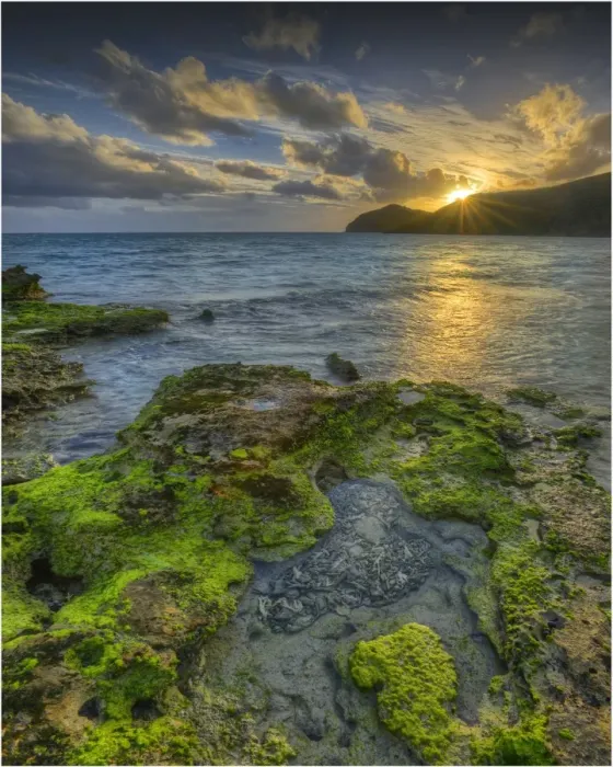 Framed Print : Lord Howe Island, majestic and scenically wonderful, is part of New South Wales, Australia Framed Print : Lord Howe Island, majestic and scenically wonderful, is part of New South Wales, Australia