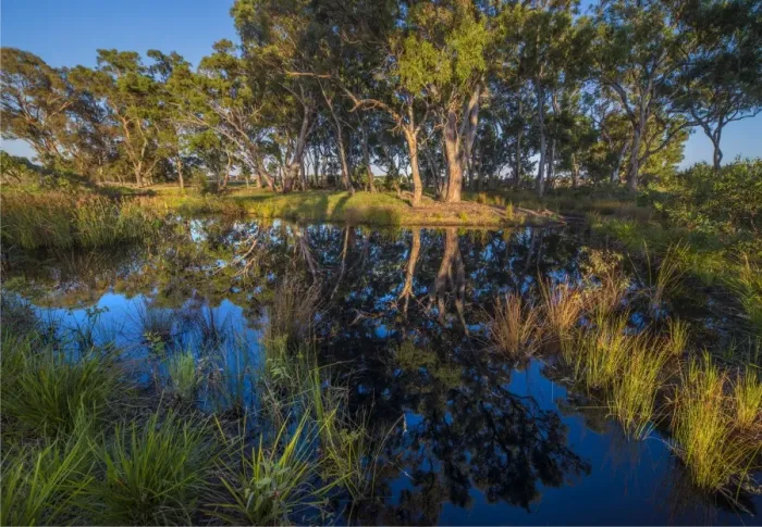 Framed Print : The lovely wetlands at Hidden Grove, Keysborough South, Melbourne, Victoria, Australia Framed Print : The lovely wetlands at Hidden Grove, Keysborough South, Melbourne, Victoria, Australia