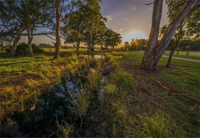 Framed Print : The lovely wetlands at Hidden Grove, Keysborough South, Melbourne, Victoria, Australia