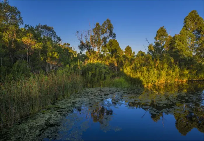 Framed Print : The lovely wetlands at Hidden Grove, Keysborough South, Melbourne, Victoria, Australia Framed Print : The lovely wetlands at Hidden Grove, Keysborough South, Melbourne, Victoria, Australia