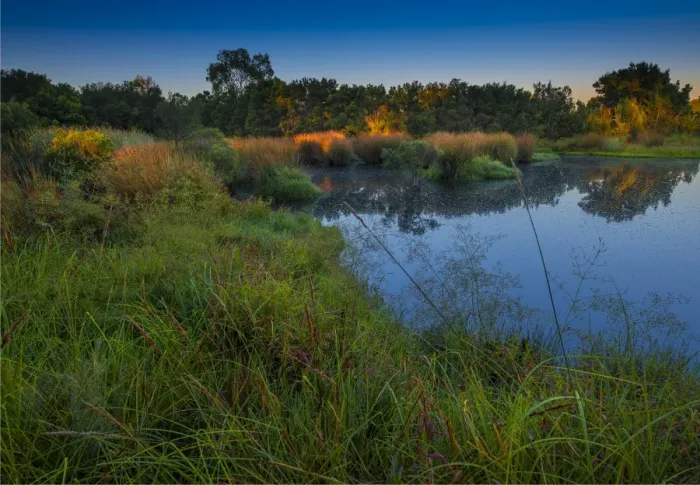 Framed Print : The lovely wetlands at Hidden Grove, Keysborough South, Melbourne, Victoria, Australia