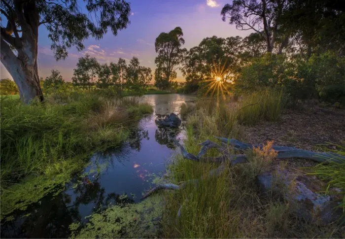 Framed Print : The lovely wetlands at Hidden Grove, Keysborough South, Melbourne, Victoria, Australia Framed Print : The lovely wetlands at Hidden Grove, Keysborough South, Melbourne, Victoria, Australia