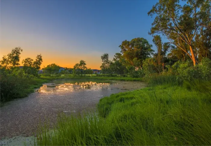 Framed Print : The lovely wetlands at Hidden Grove, Keysborough South, Melbourne, Victoria, Australia Framed Print : The lovely wetlands at Hidden Grove, Keysborough South, Melbourne, Victoria, Australia