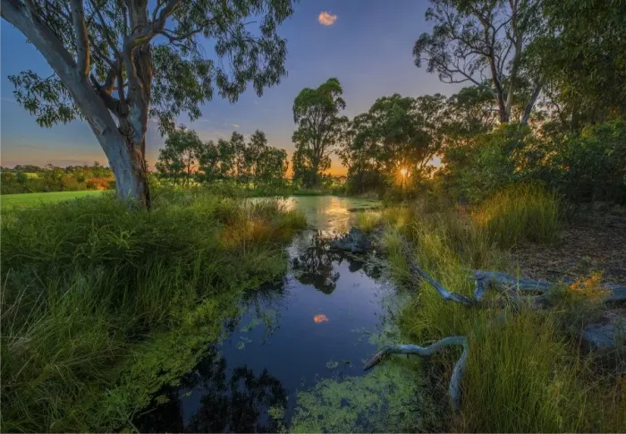 Framed Print : The lovely wetlands at Hidden Grove, Keysborough South, Melbourne, Victoria, Australia Framed Print : The lovely wetlands at Hidden Grove, Keysborough South, Melbourne, Victoria, Australia