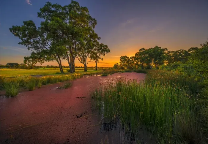 Framed Print : The lovely wetlands at Hidden Grove, Keysborough South, Melbourne, Victoria, Australia