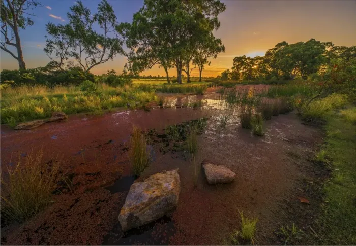 Framed Print : The lovely wetlands at Hidden Grove, Keysborough South, Melbourne, Victoria, Australia Framed Print : The lovely wetlands at Hidden Grove, Keysborough South, Melbourne, Victoria, Australia