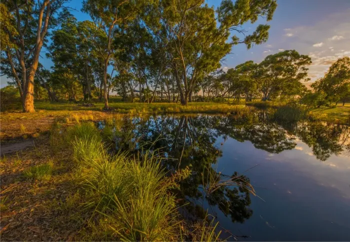 Framed Print : The lovely wetlands at Hidden Grove, Keysborough South, Melbourne, Victoria, Australia