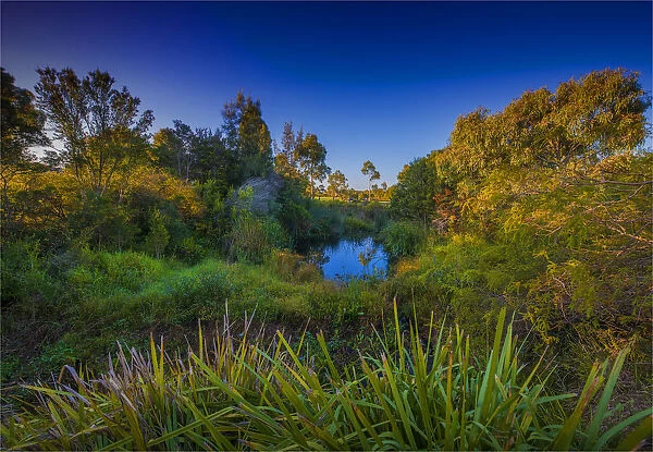 The lovely wetlands at Hidden Grove, Keysborough South, Melbourne, Victoria, Australia