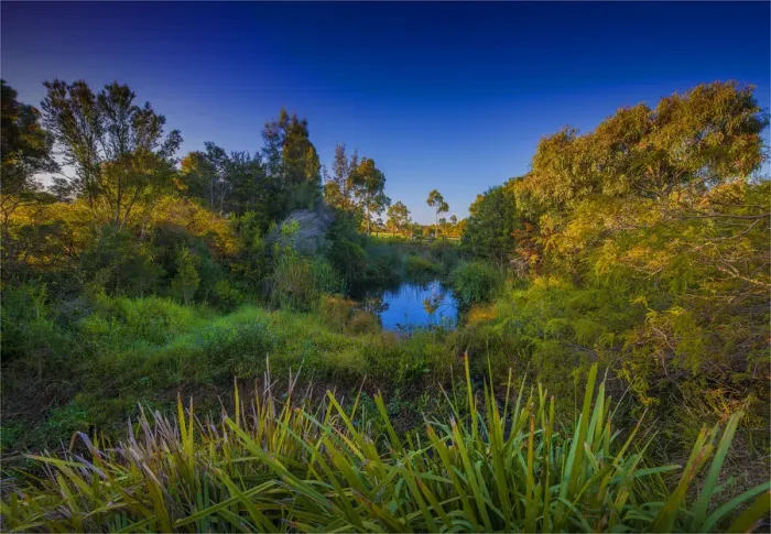 Framed Print : The lovely wetlands at Hidden Grove, Keysborough South, Melbourne, Victoria, Australia Framed Print : The lovely wetlands at Hidden Grove, Keysborough South, Melbourne, Victoria, Australia