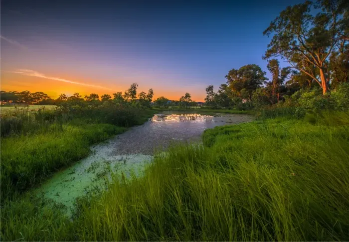 Framed Print : The lovely wetlands at Hidden Grove, Keysborough South, Melbourne, Victoria, Australia Framed Print : The lovely wetlands at Hidden Grove, Keysborough South, Melbourne, Victoria, Australia