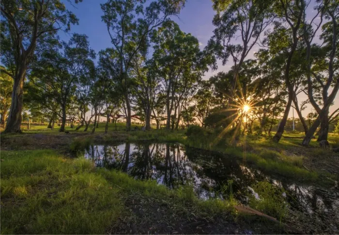 Framed Print : The lovely wetlands at Hidden Grove, Keysborough South, Melbourne, Victoria, Australia Framed Print : The lovely wetlands at Hidden Grove, Keysborough South, Melbourne, Victoria, Australia