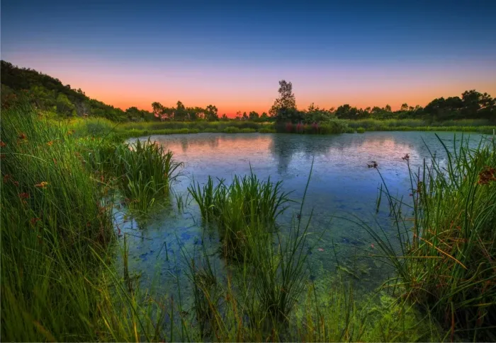 Framed Print : The lovely wetlands at Hidden Grove, Keysborough South, Melbourne, Victoria, Australia Framed Print : The lovely wetlands at Hidden Grove, Keysborough South, Melbourne, Victoria, Australia