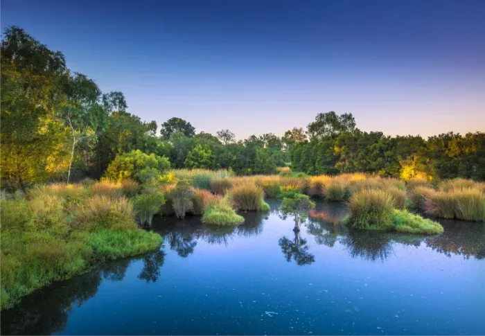 Framed Print : The lovely wetlands at Hidden Grove, Keysborough South, Melbourne, Victoria, Australia